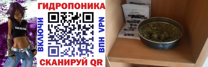 дарнет шоп  Петропавловск-Камчатский  Конопля VHQ 